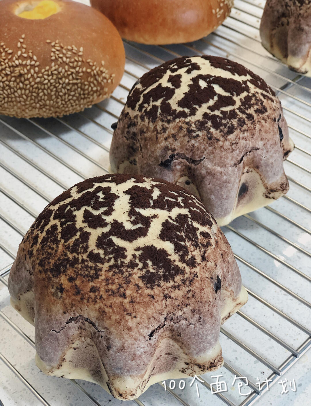 超浓郁巧克力奶酪面包