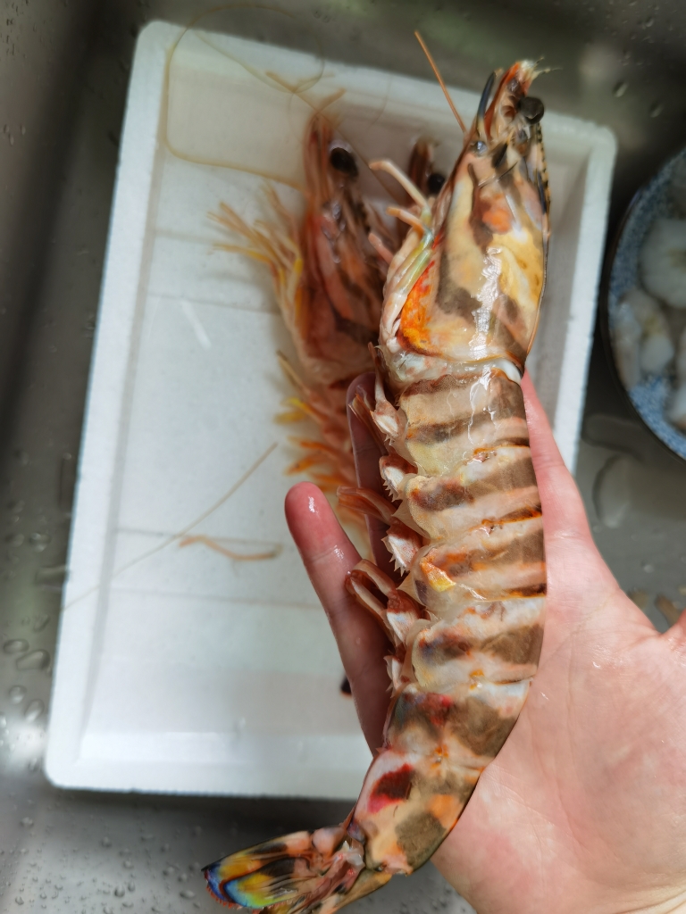 铁锅锁鲜半焗超大斑节虾的做法 步骤3
