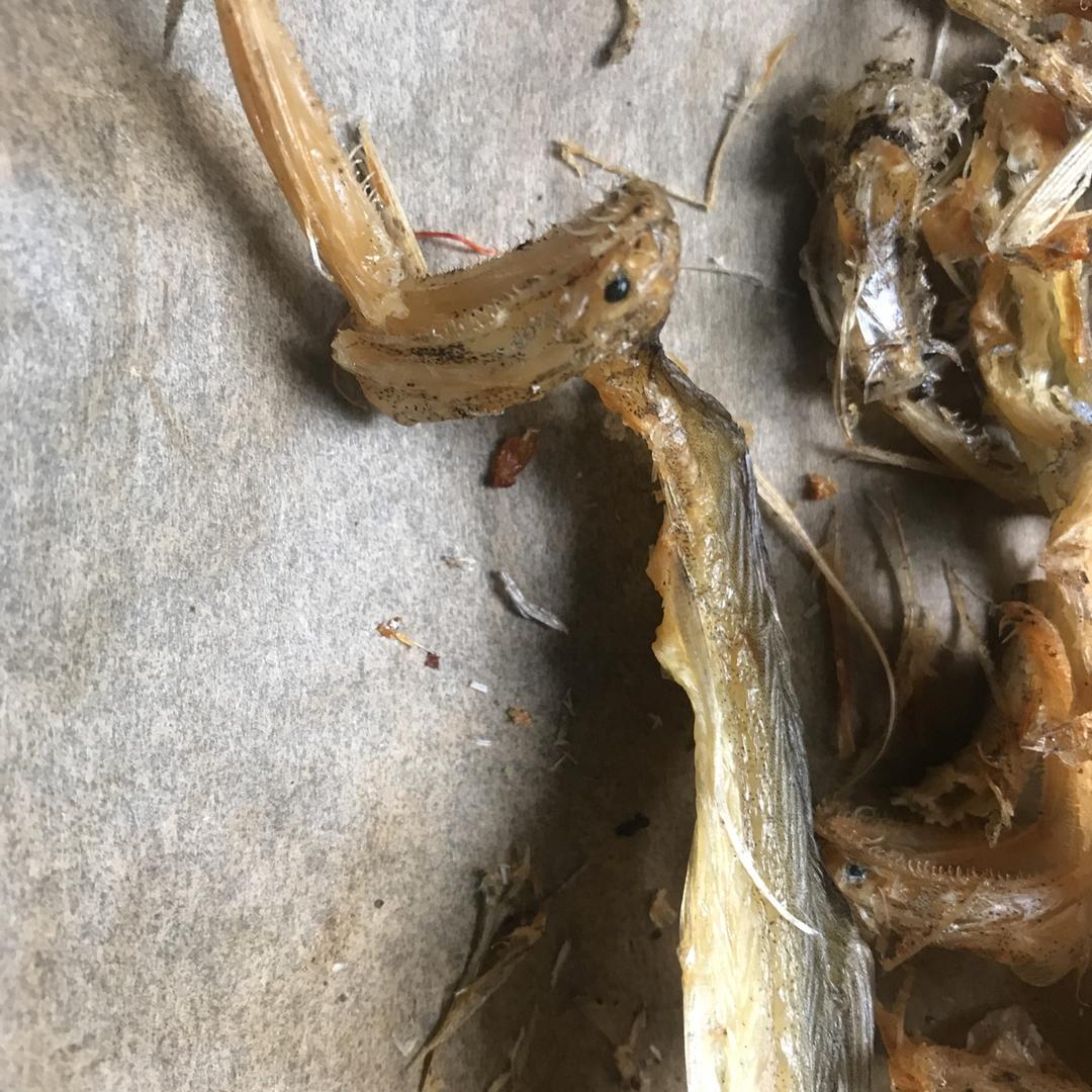 龙头烤干（烤箱版）