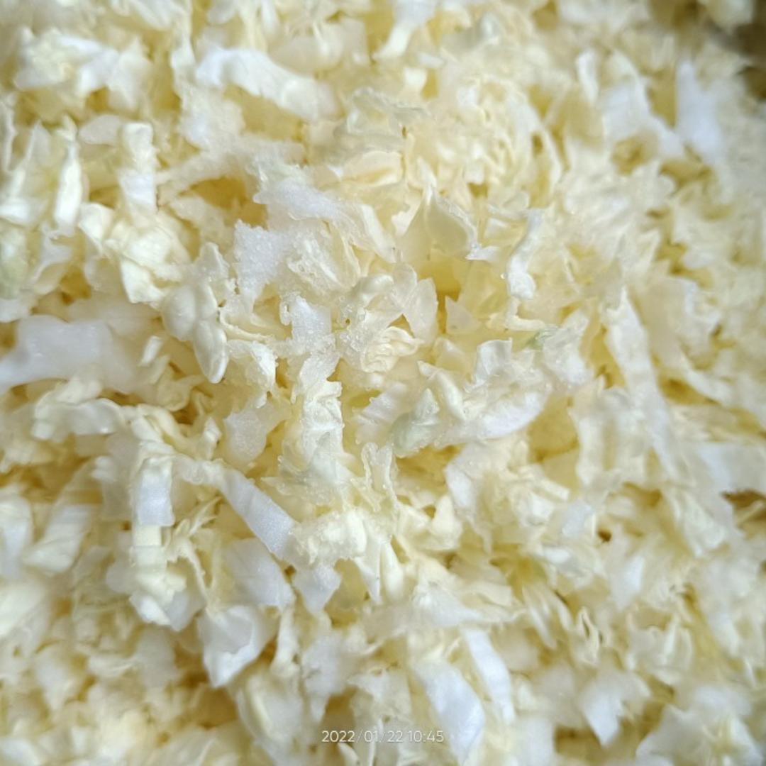 一颗大白菜_69di