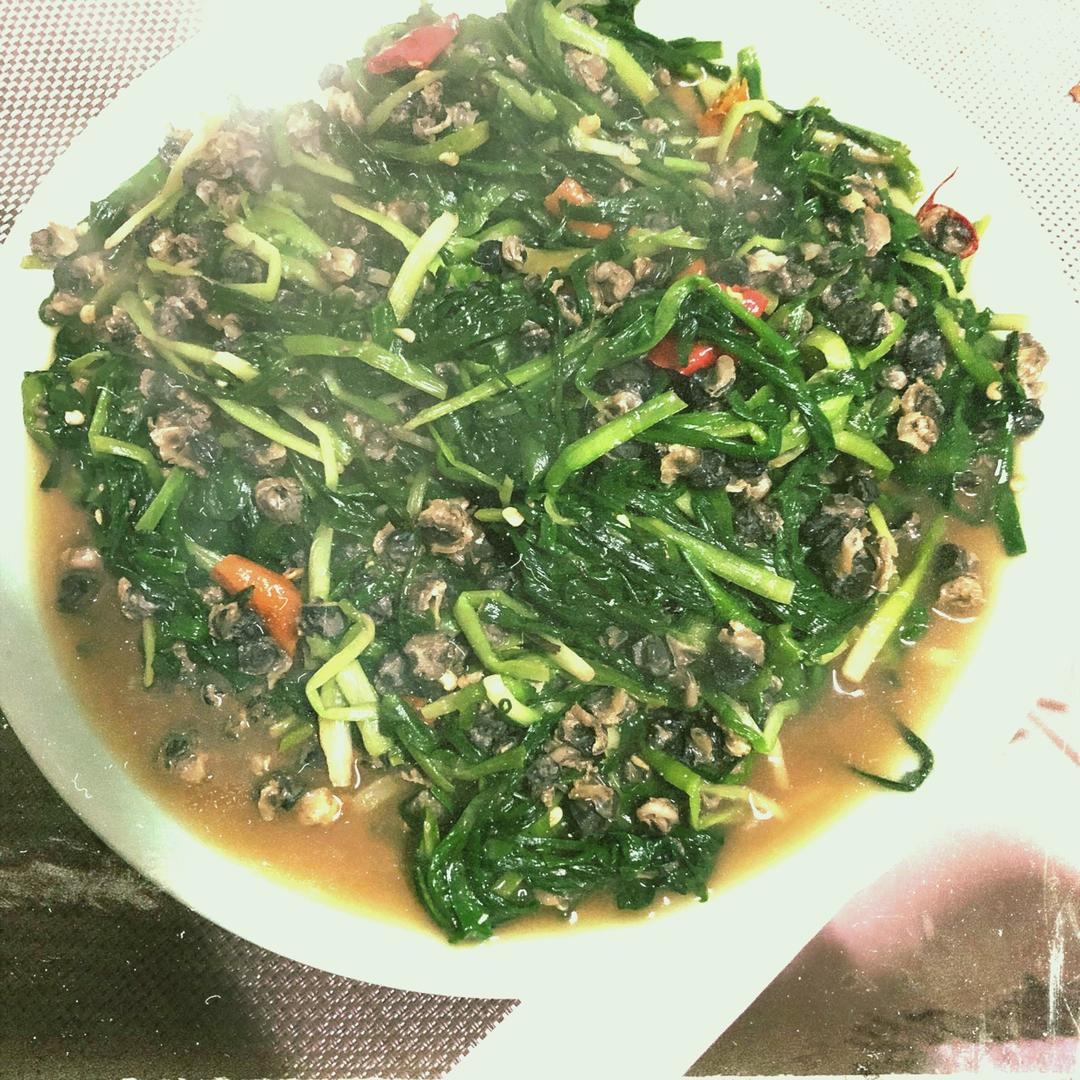 春日一道鲜——韭菜炒螺肉