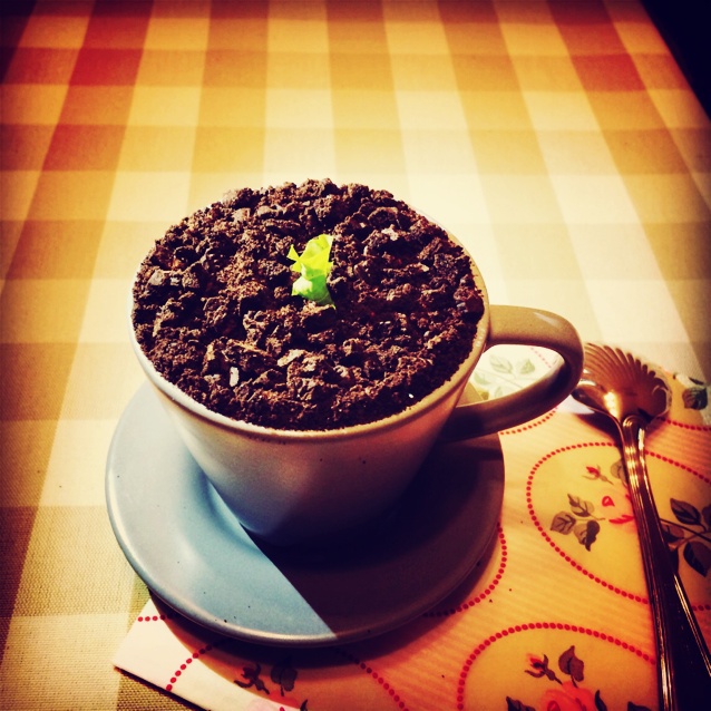 盆栽奶茶