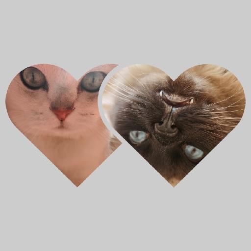 珍珠宝宝的妈咪小厨