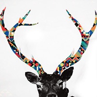 三十三次小菊花