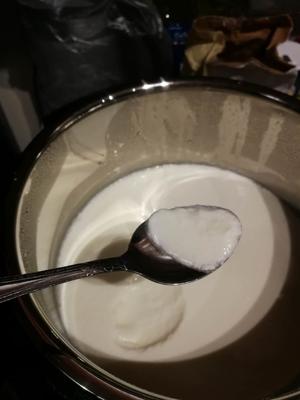 自制原味酸奶--用COSORI电饭锅的做法 步骤13