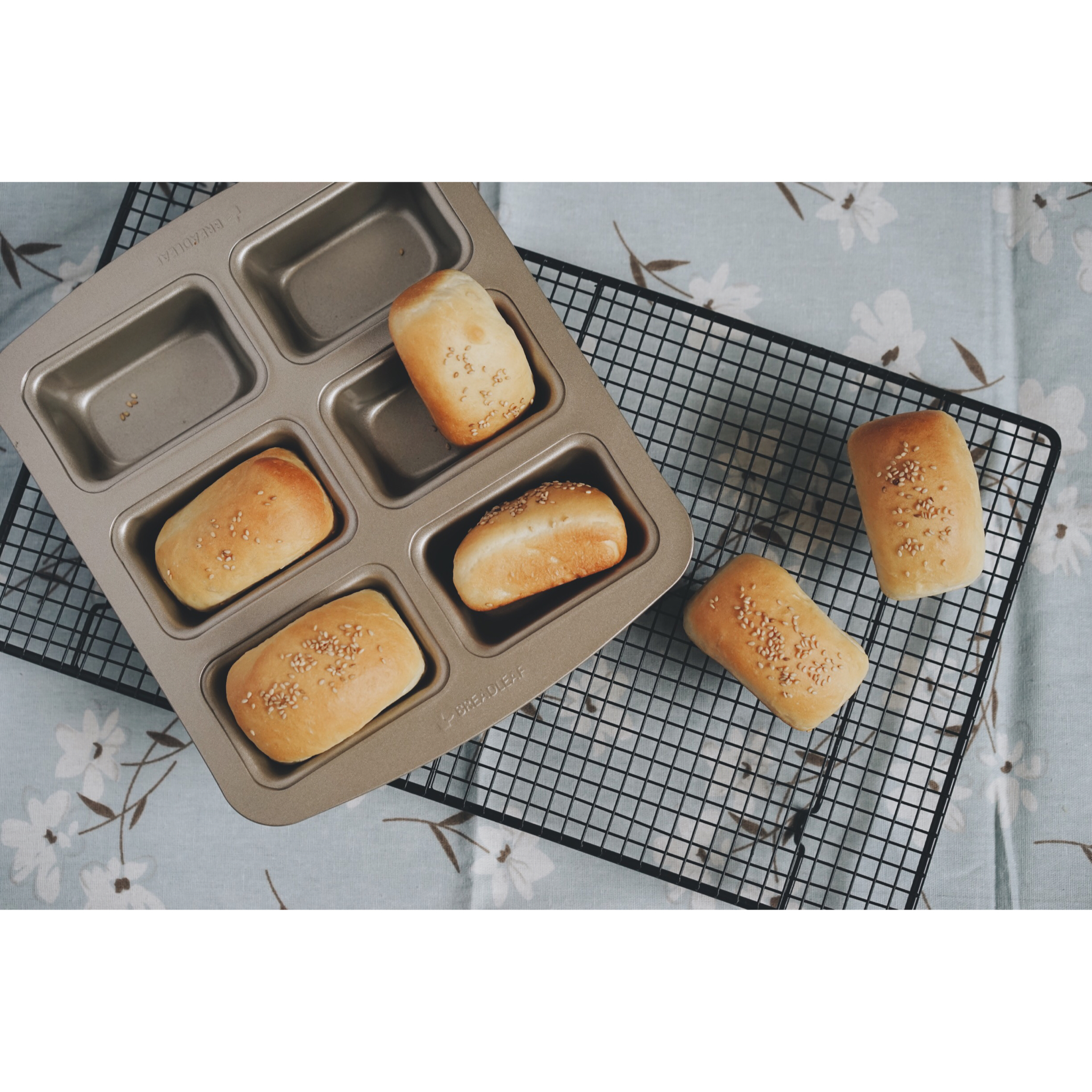 相机吃的菜哦(◍•ᴗ•◍)