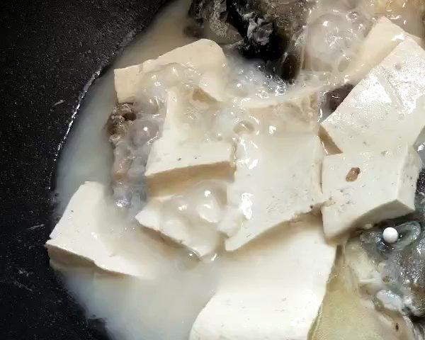 鱼头豆腐汤