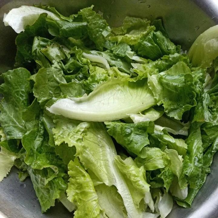 蔬菜饼—生菜鸡蛋饼