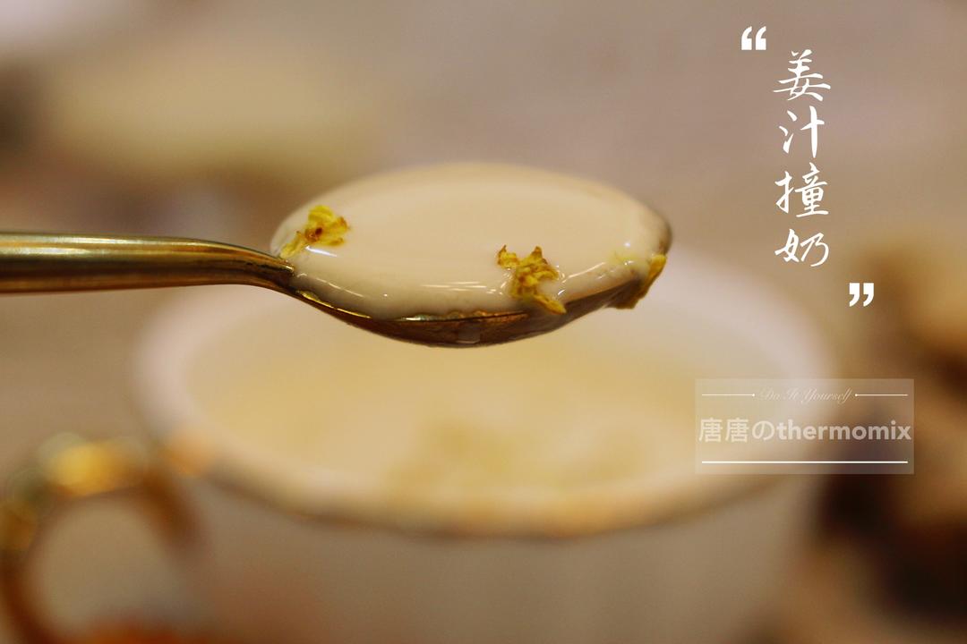 姜汁撞奶·小美版（详细）的做法