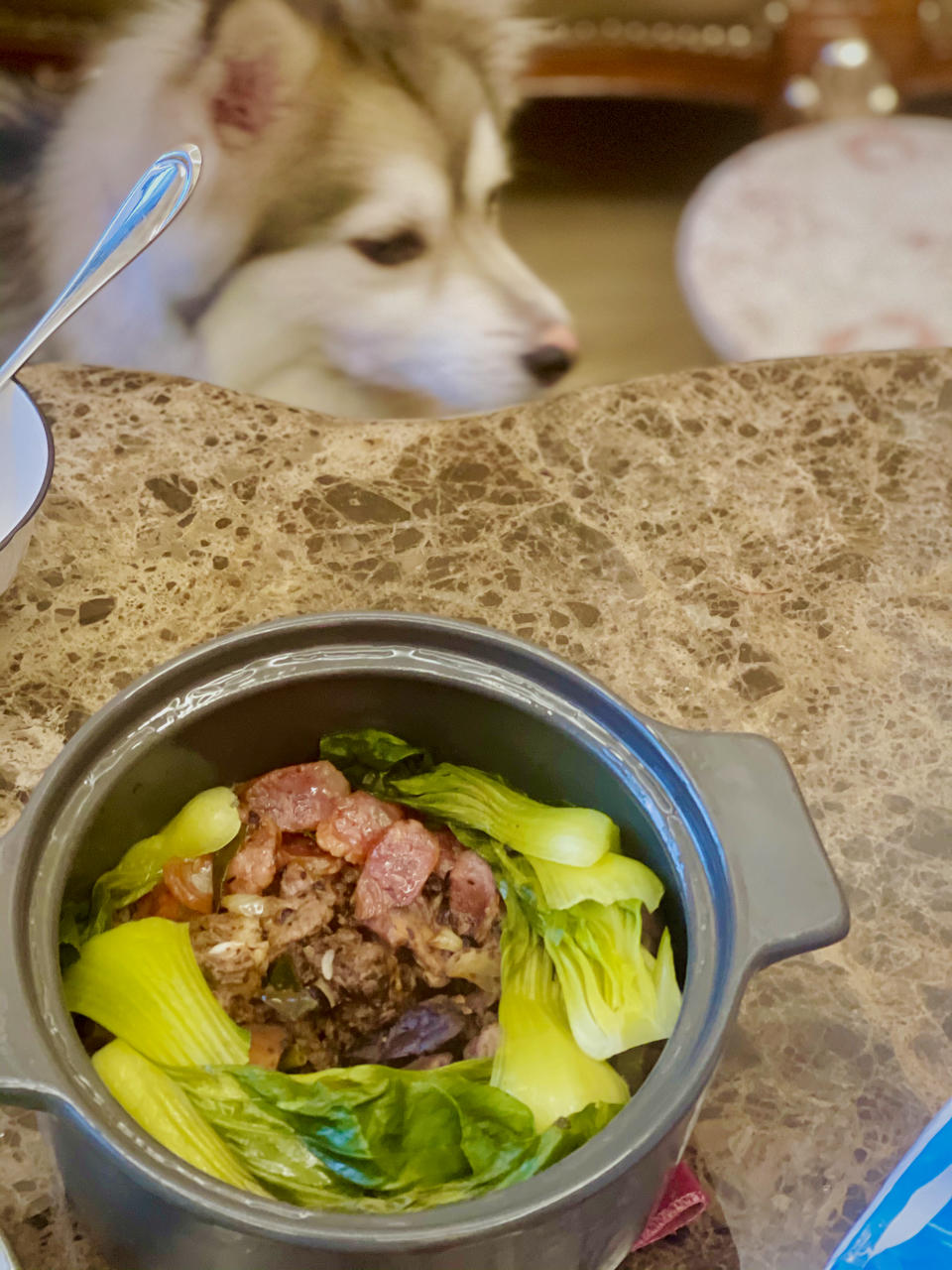 厨师长教你：家常“排骨煲仔饭”的做法，米饭和锅底的锅巴都很香