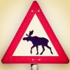 木森Moose