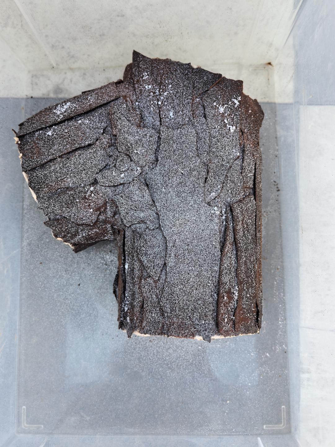 超简单圣诞树根蛋糕卷-超人气菜谱