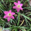 手机用户3923_ab6y