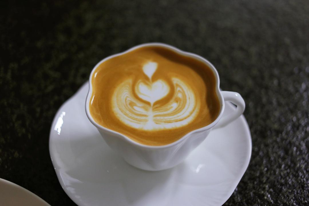 ☕自学拉花不急不嗔🐱