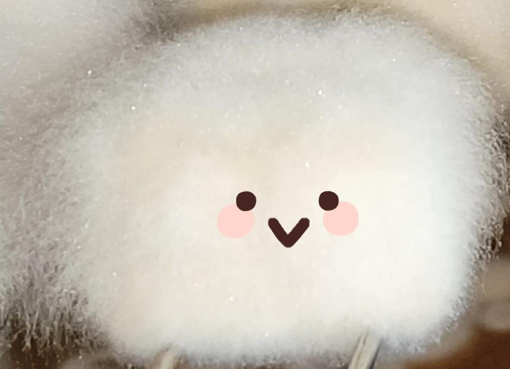 第一次做的白白胖胖的毛豆腐
