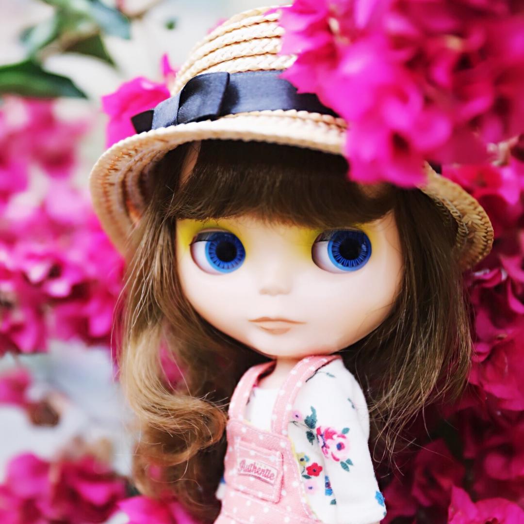 小女人的乐顺备忘录