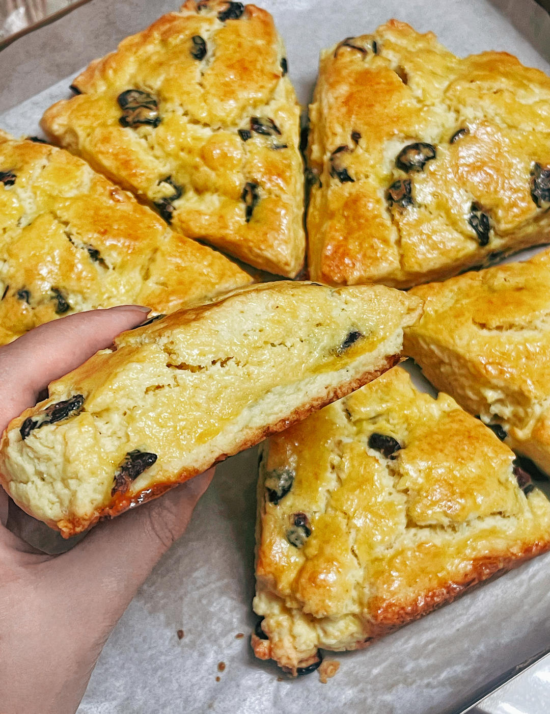 完胜星巴克的超美味酥脆司康 super easy crunched scone