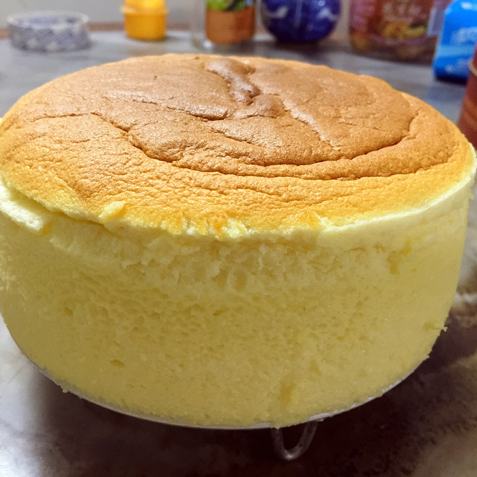 轻乳酪芝士蛋糕6寸#皮黑森林#