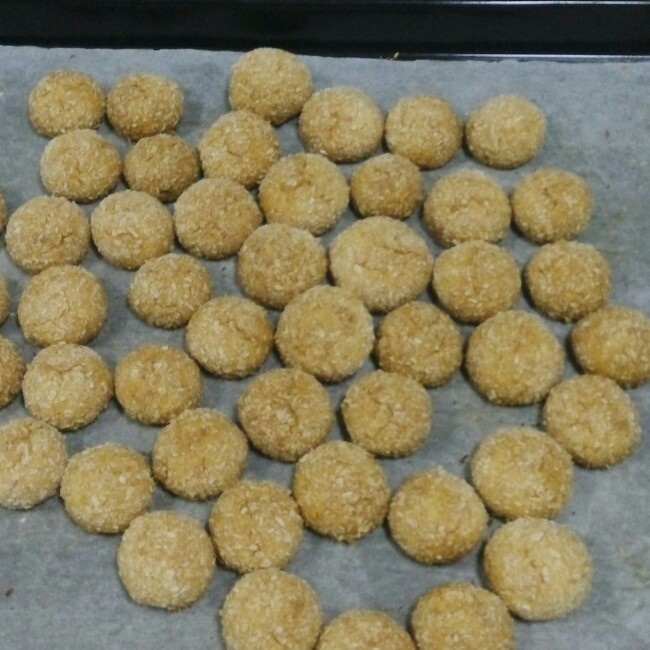 蛋白椰丝球