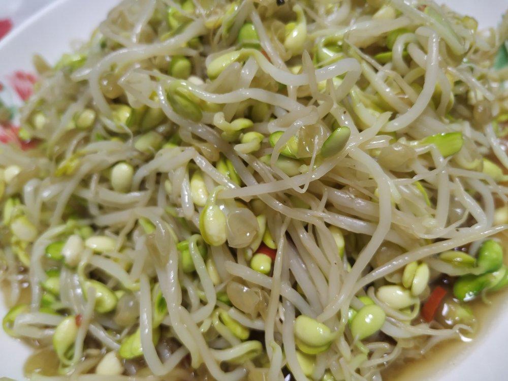 素炒黄豆芽