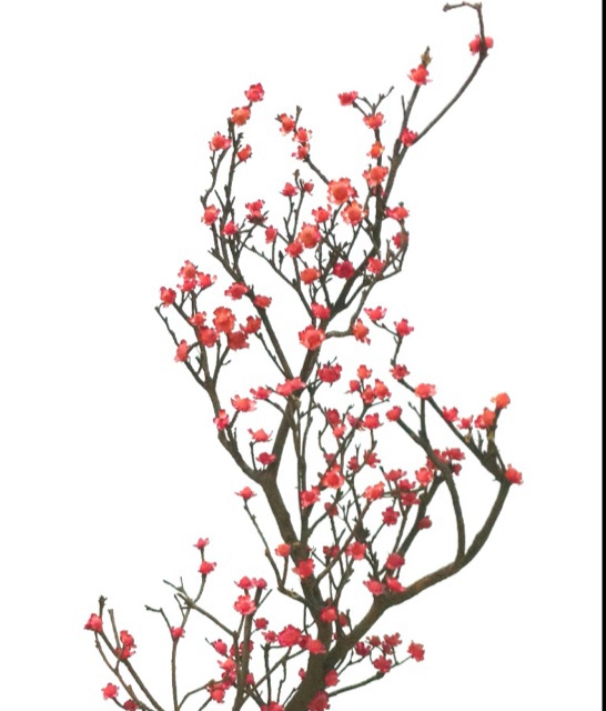 物事