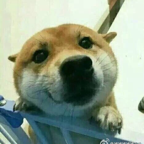 好大一颗星球杯