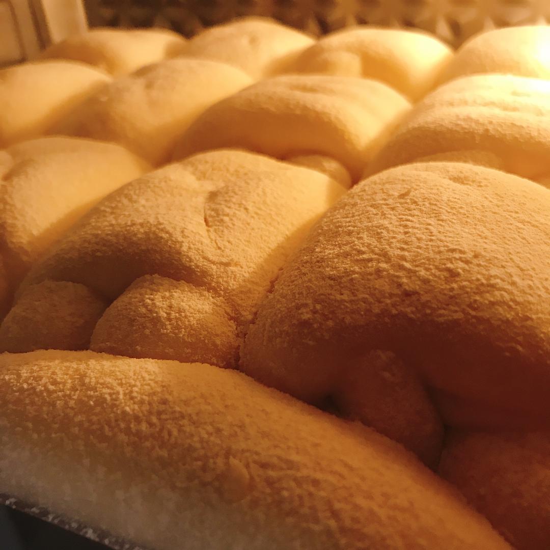 软到不知所措的牛奶卷