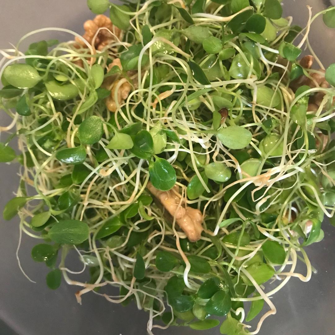 香椿苗拌核桃仁