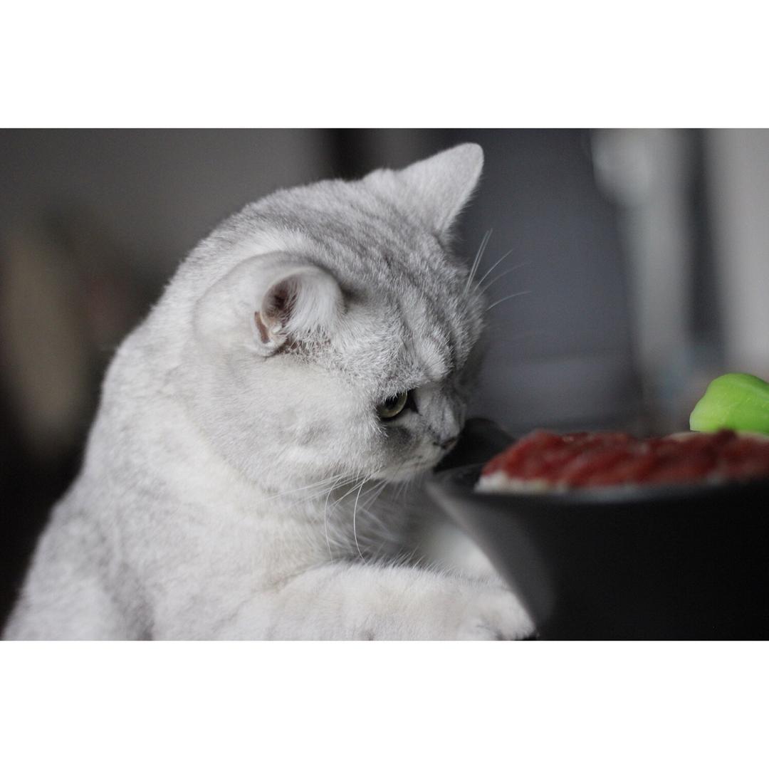 广式腊味煲仔饭