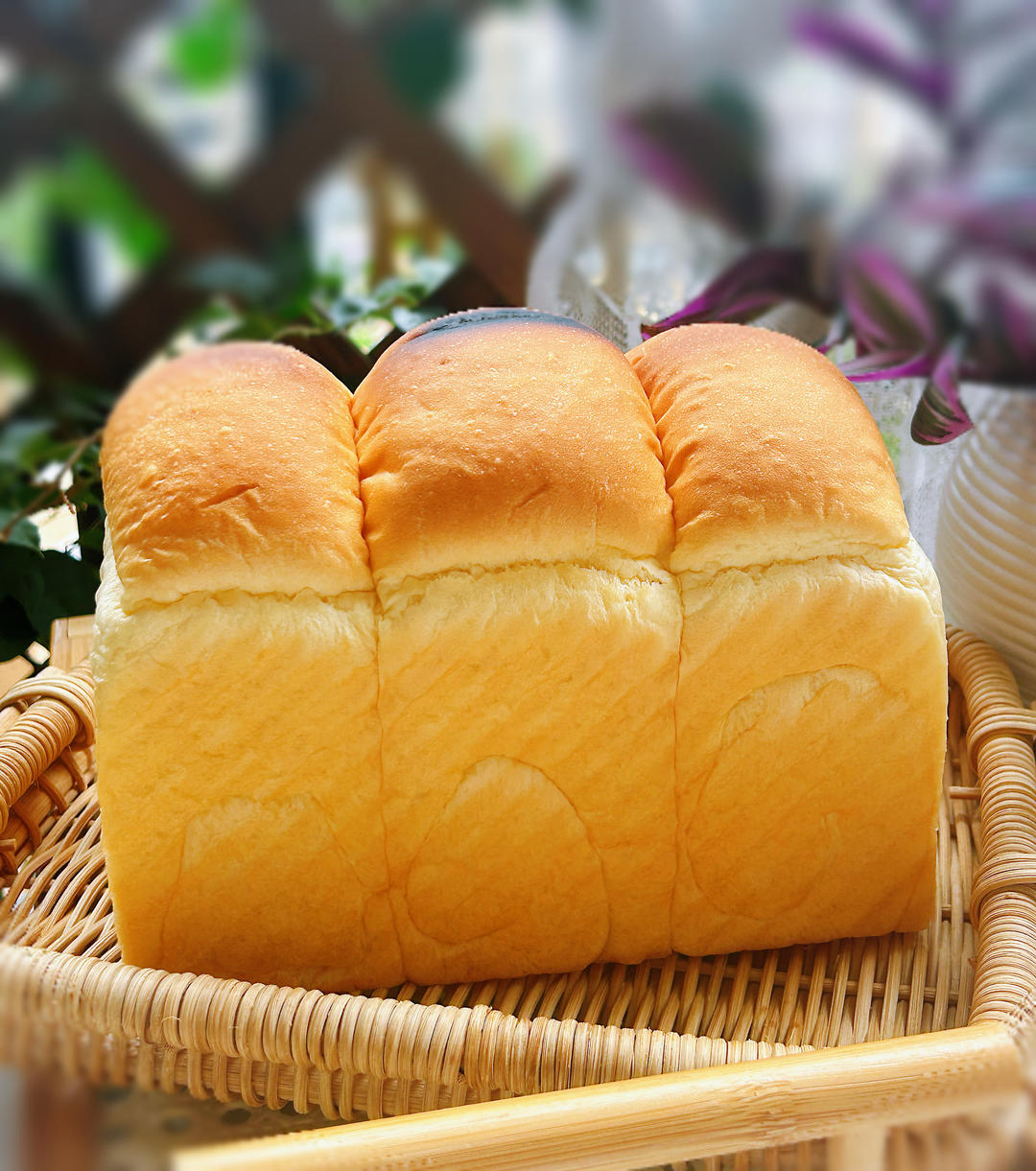 冷冻法酸奶吐司🍞🍞