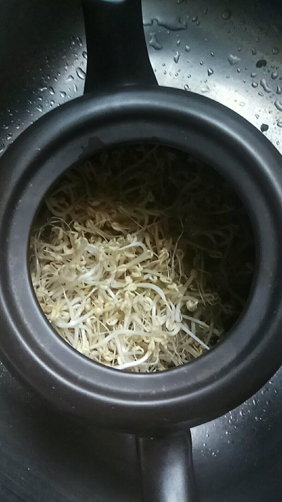超简单水壶发豆芽