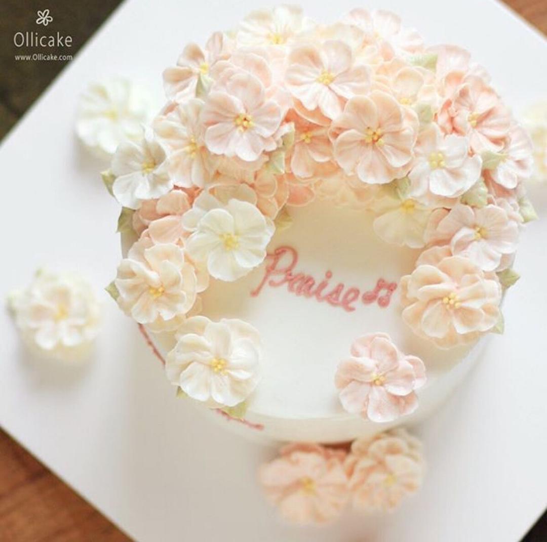 小金宝g做的生日蛋糕裱花制作