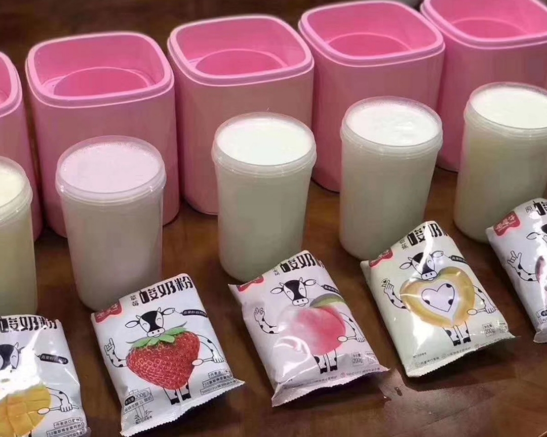 满满活菌的自制手工酸奶的做法