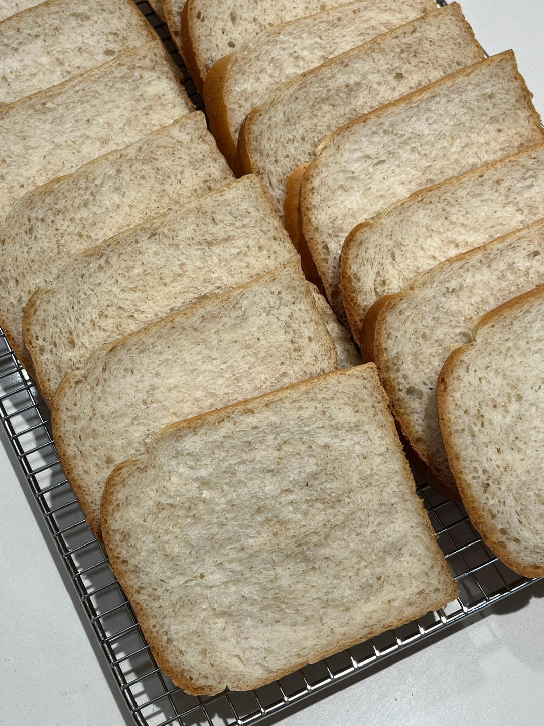 全麦蛋白吐司(消耗蛋白