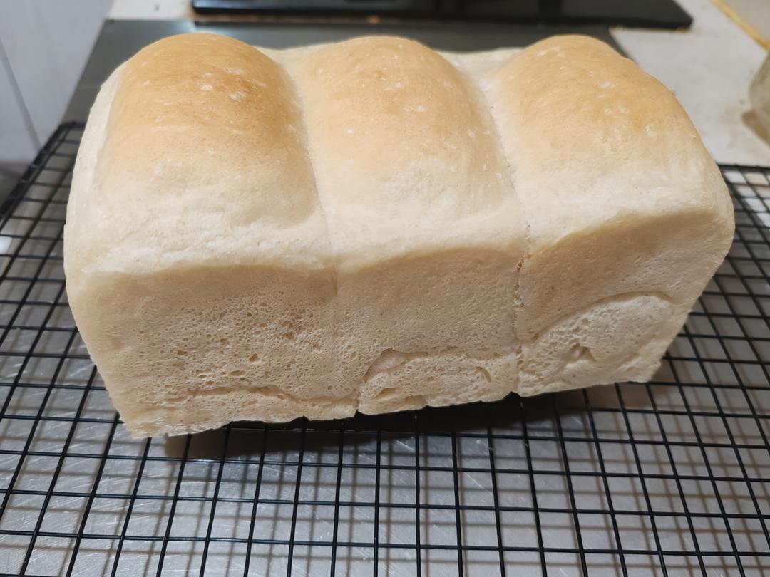 100%中种全麦吐司  麦香💯70%全麦 适合上班族、夏季首选低面温全麦吐司