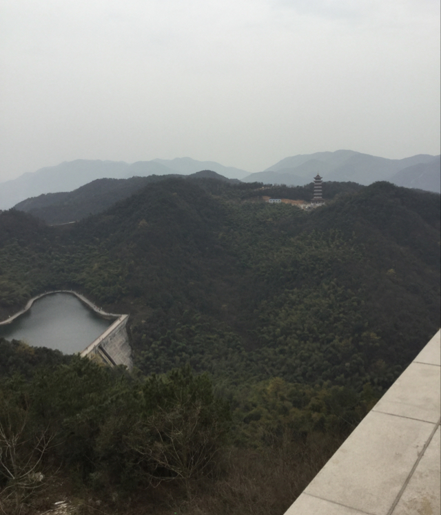KONGYF