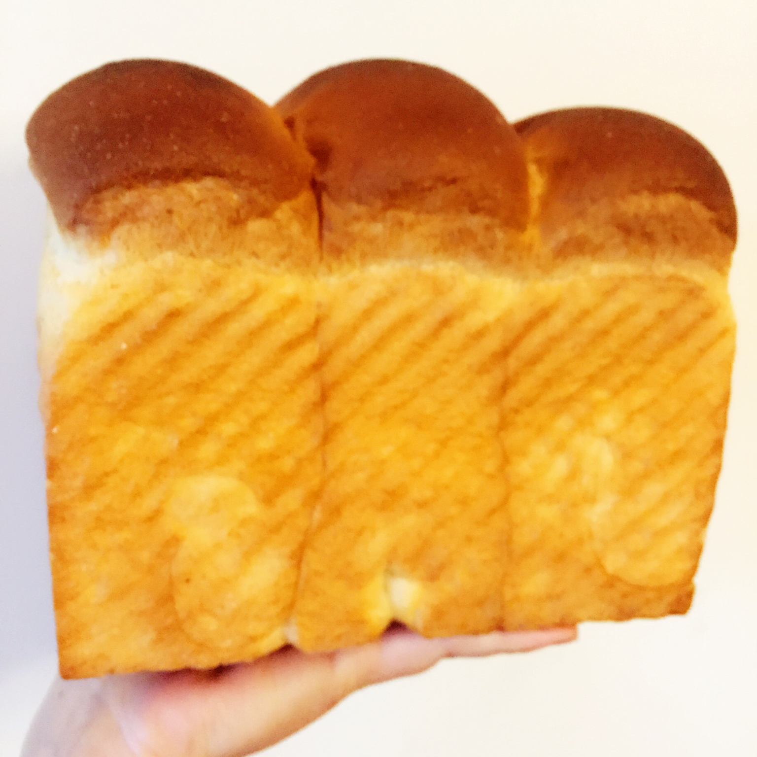 一次发酵全麦酸奶蛋黄吐司～老面版