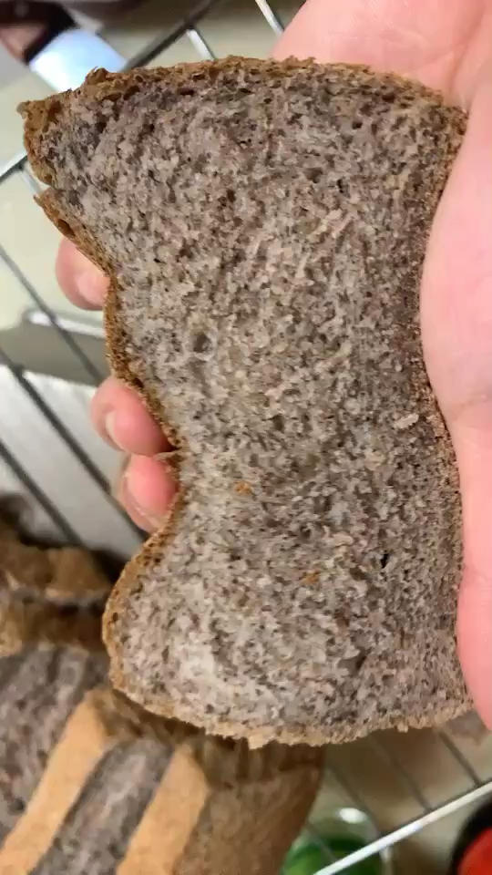 手揉波兰种黑麦(40%)吐司