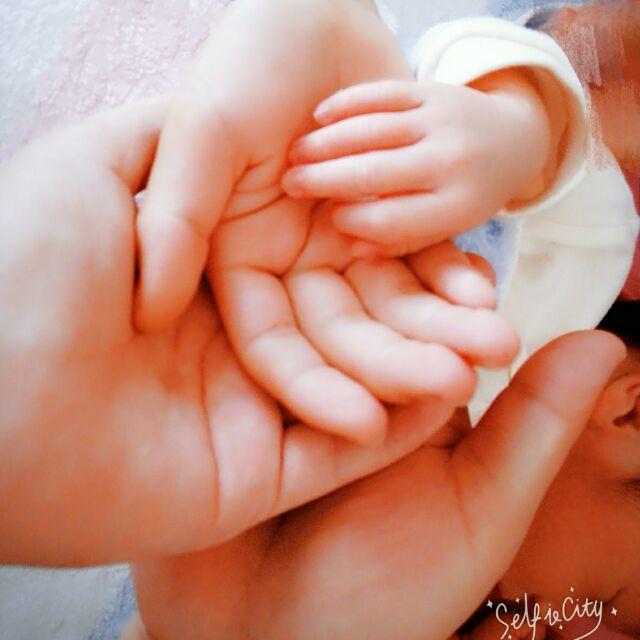 简单的爱RL的厨房