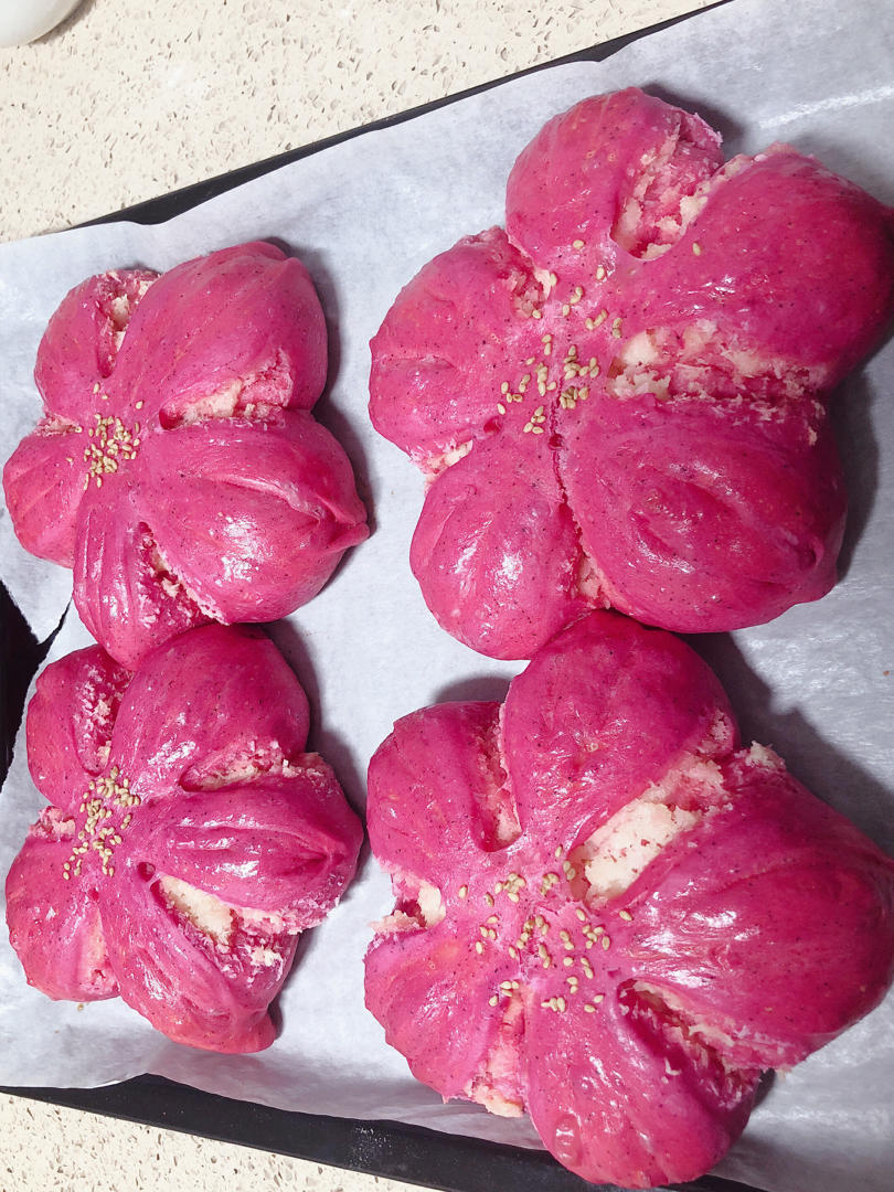 火龙果椰蓉樱花面包B51