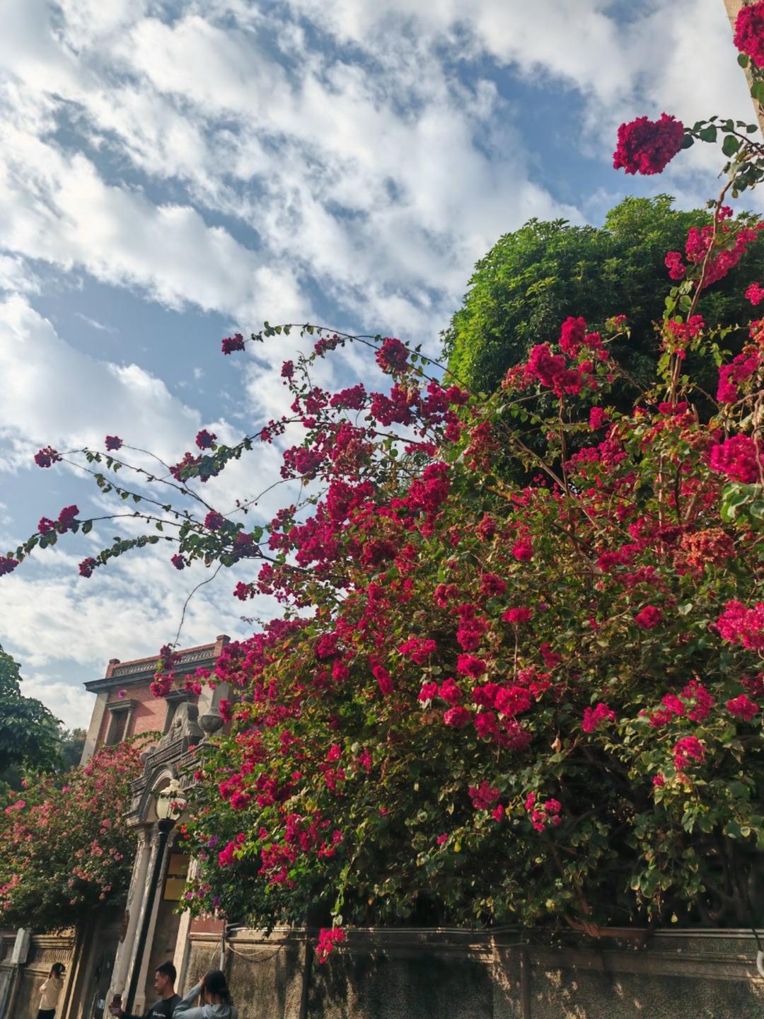 不会吃鱼de猫的厨房