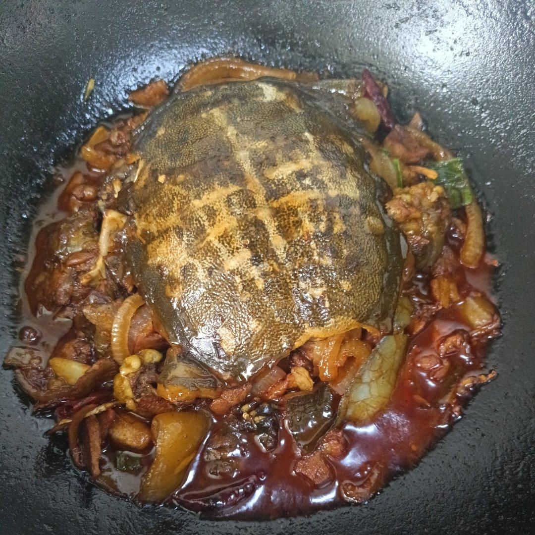 红烧甲鱼