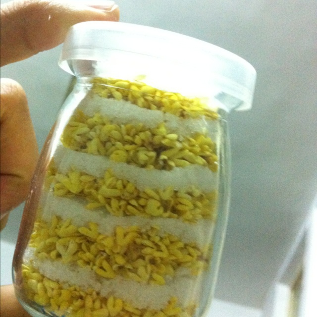 自制糖桂花