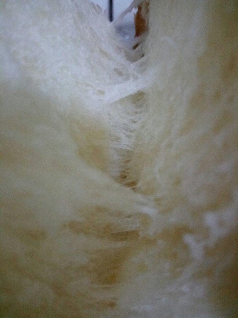 夺命软吐司(๑´ڡ`๑)超软拉丝极速方便的一次发酵吐司