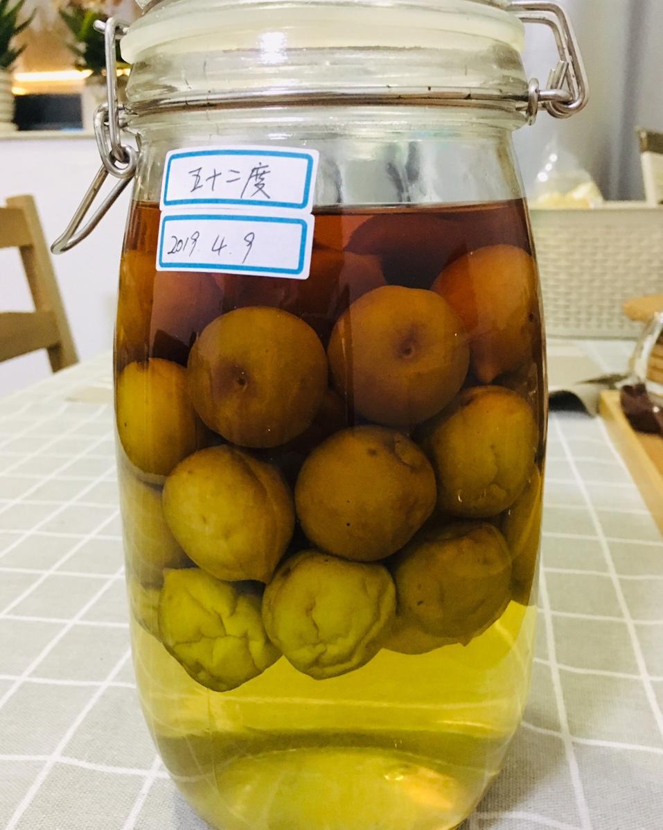 【青梅酒】梅子的沉醉时光（已填坑）