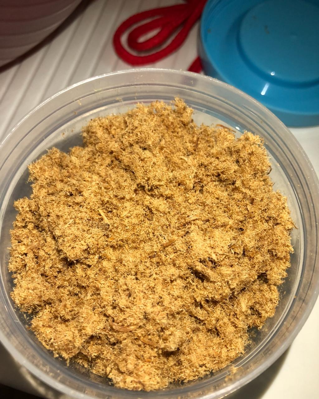 自制婴儿辅食猪肉松（7-12个月）