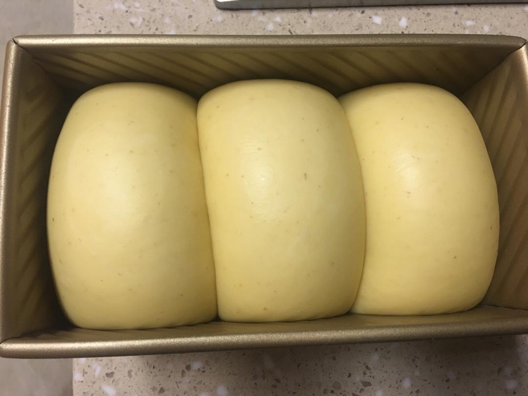 玉米油版一次性发酵吐司