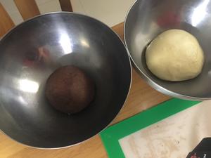 椰蓉大理石餐包的做法 步骤4