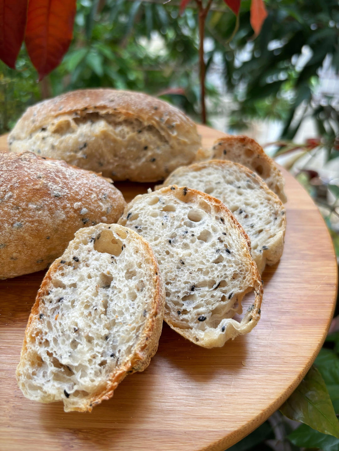 无需鲁邦种，直接法无油无糖谷物欧包