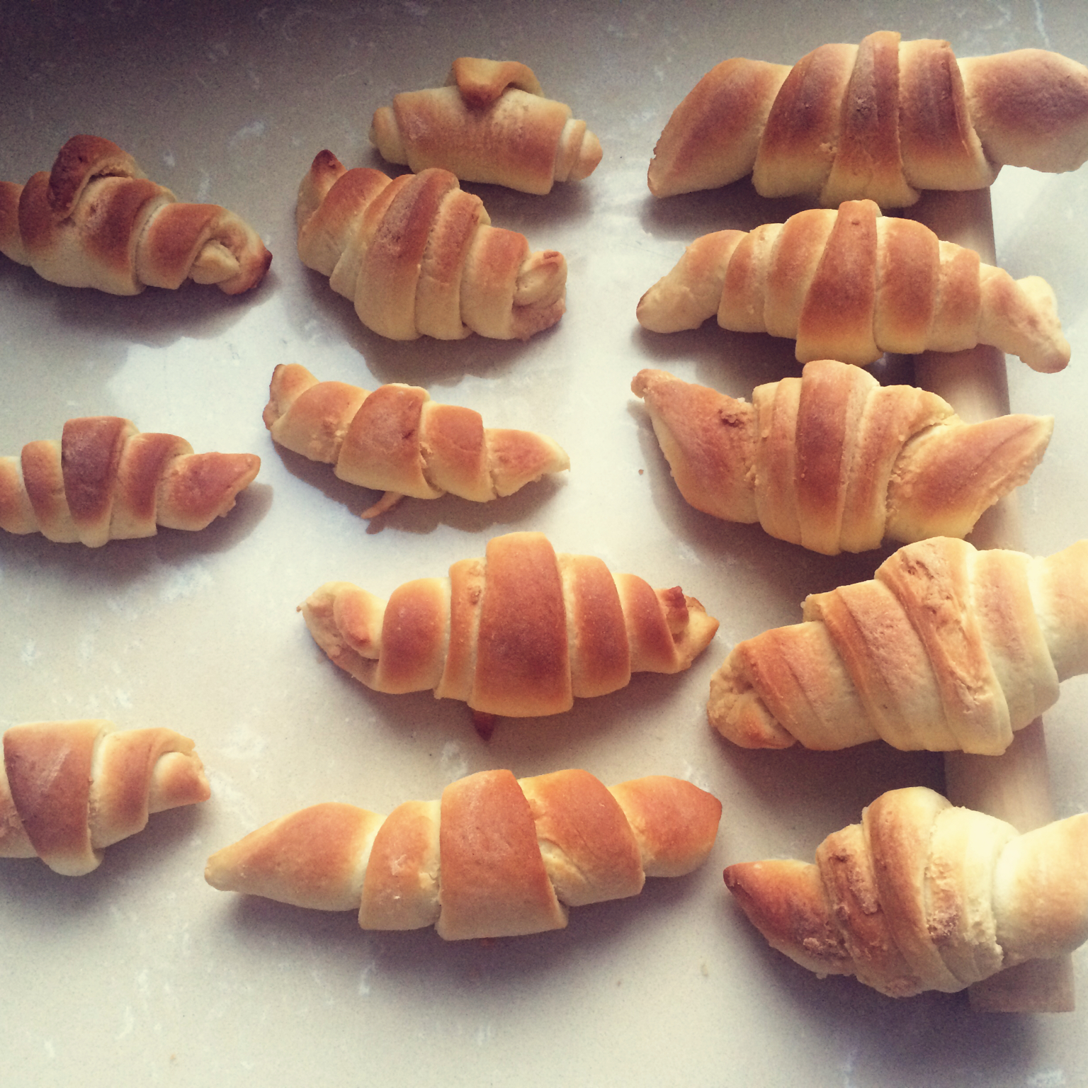 老式油酥面包 Yusu Bread